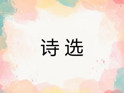 诗选 诗选