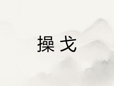 操戈 操戈