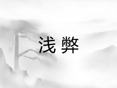 浅弊