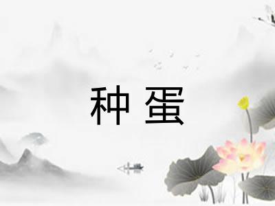 种蛋