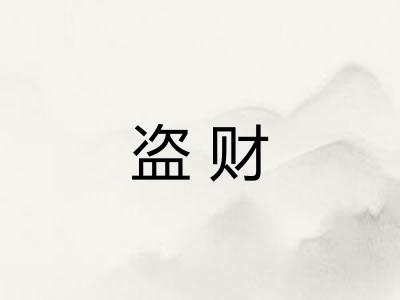 盗财 盗财