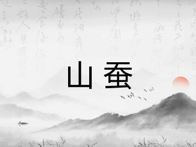 山蚕