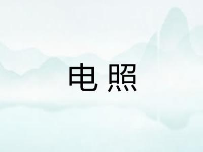 电照