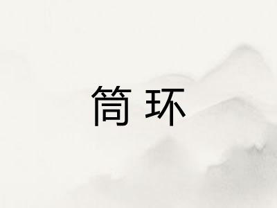 筒环