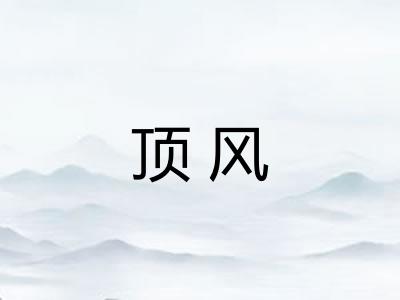 顶风 顶风