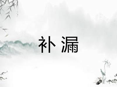 补漏 补漏