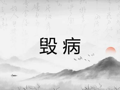 毁病