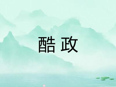 酷政 酷政