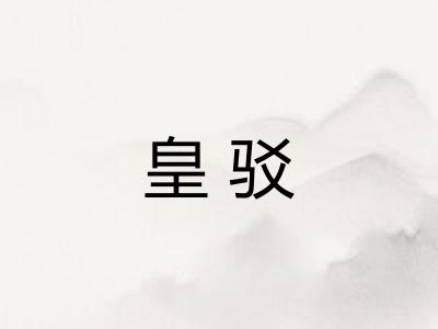皇驳