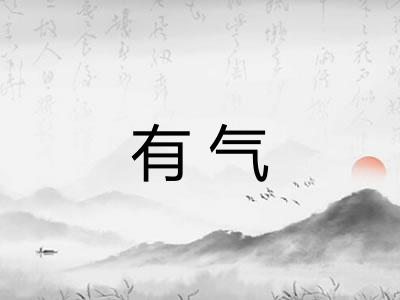 有气 有气