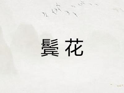 鬓花 鬓花