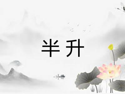 半升