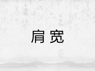 肩宽