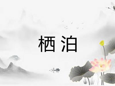 栖泊