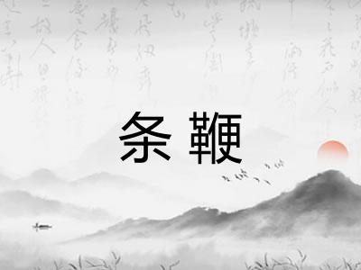 条鞭 条鞭