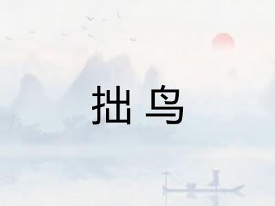 拙鸟 拙鸟