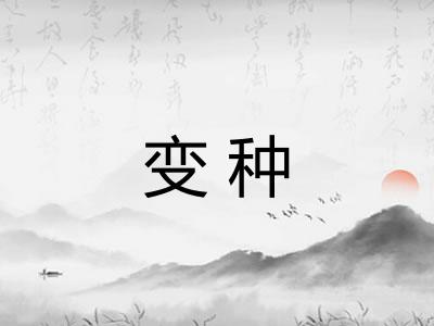 变种 变种