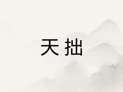 天拙 天拙