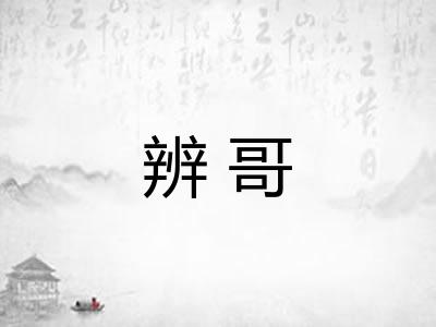 辨哥 辨哥