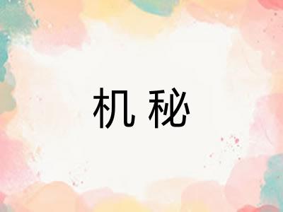 机秘