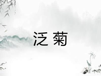 泛菊