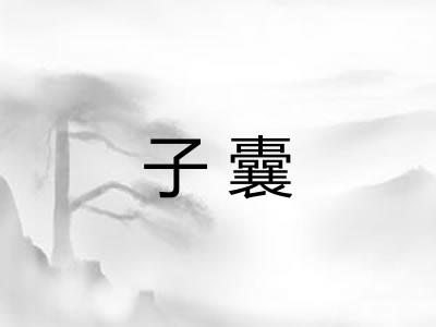 子囊 子囊