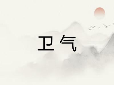卫气 卫气