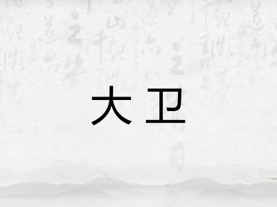 大卫 大卫