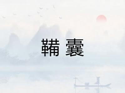 鞴囊