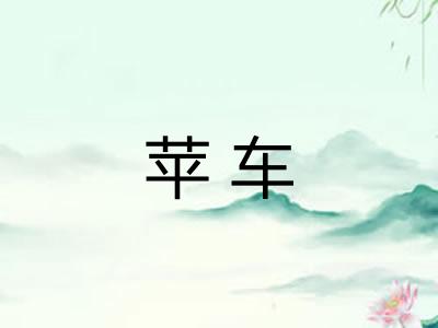 苹车