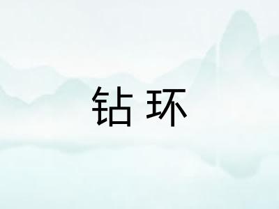 钻环 钻环