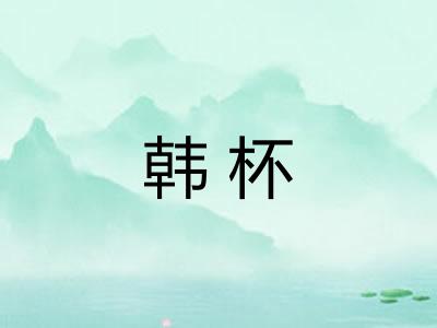 韩杯 韩杯