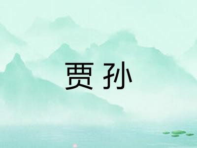 贾孙 贾孙
