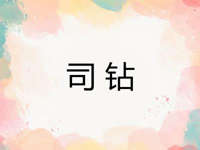 司钻 司钻