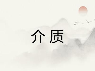 介质