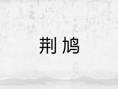 荆鸠