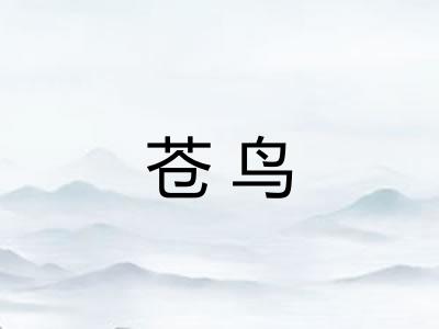 苍鸟