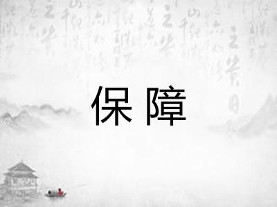 保障 保障