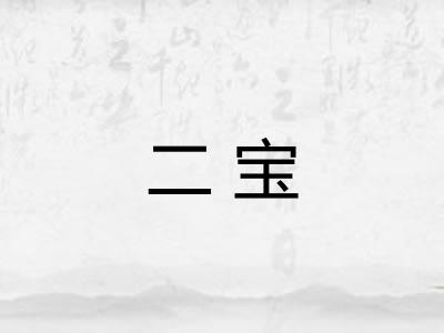 二宝