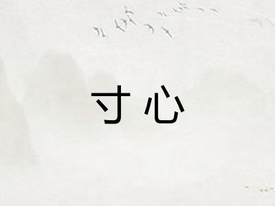 寸心