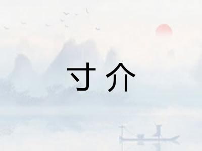 寸介 寸介