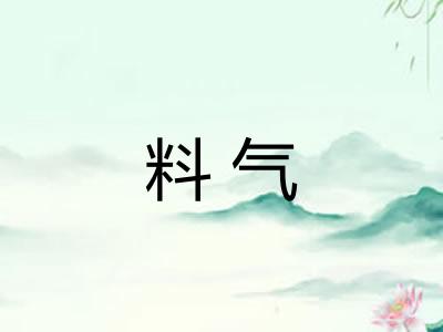 料气