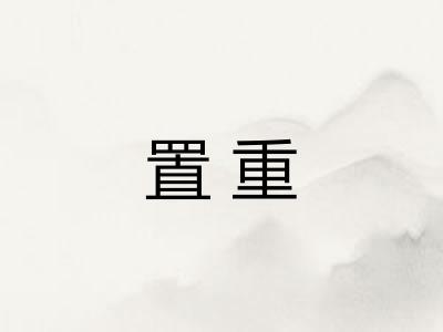 置重