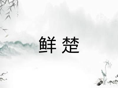 鲜楚