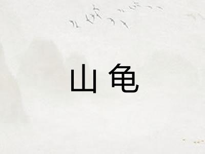 山龟
