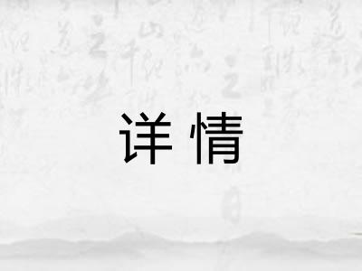 详情