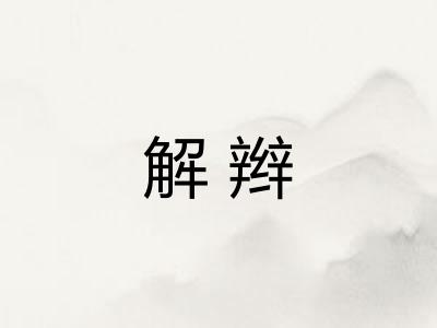 解辫 解辫