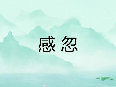 感忽