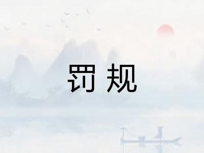 罚规