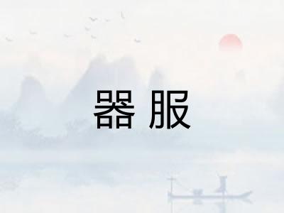 器服